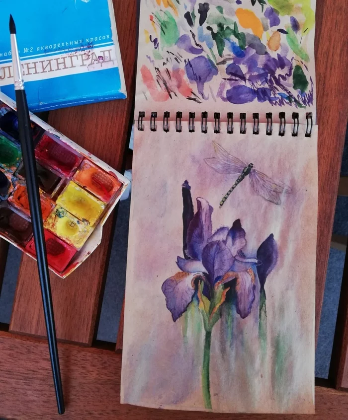 Iris - My, Drawing, Watercolor, Sketchbook