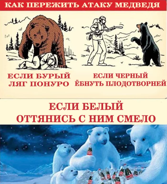 Немного животного мира - Медведи, Дикая природа, Выживание, Расизм, Черный юмор