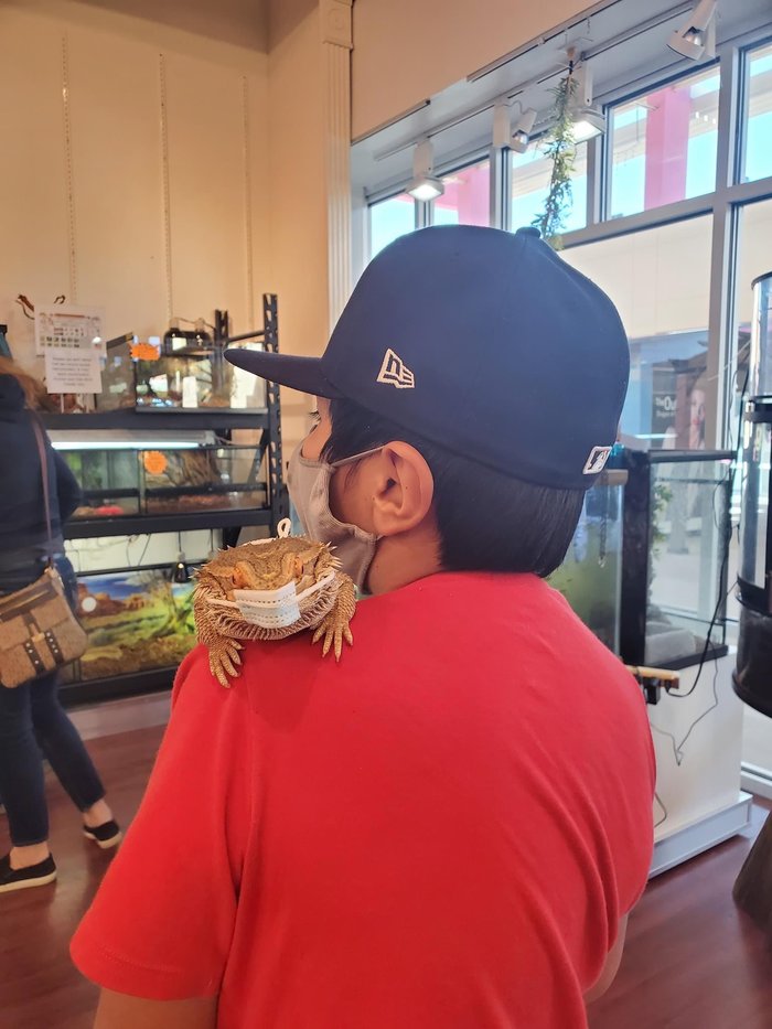 ��������� ��������� � �������� ��������