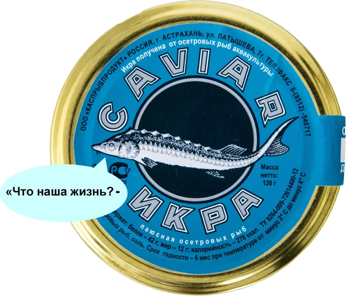 Wise sturgeon - Images, Picture with text, Caviar