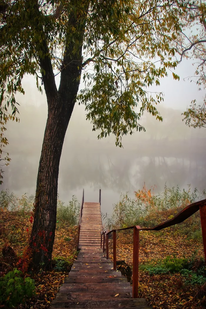 Foggy morning - My, Landscape, Autumn, The photo, Canon 80d, Tamron, Steps, Fog, River