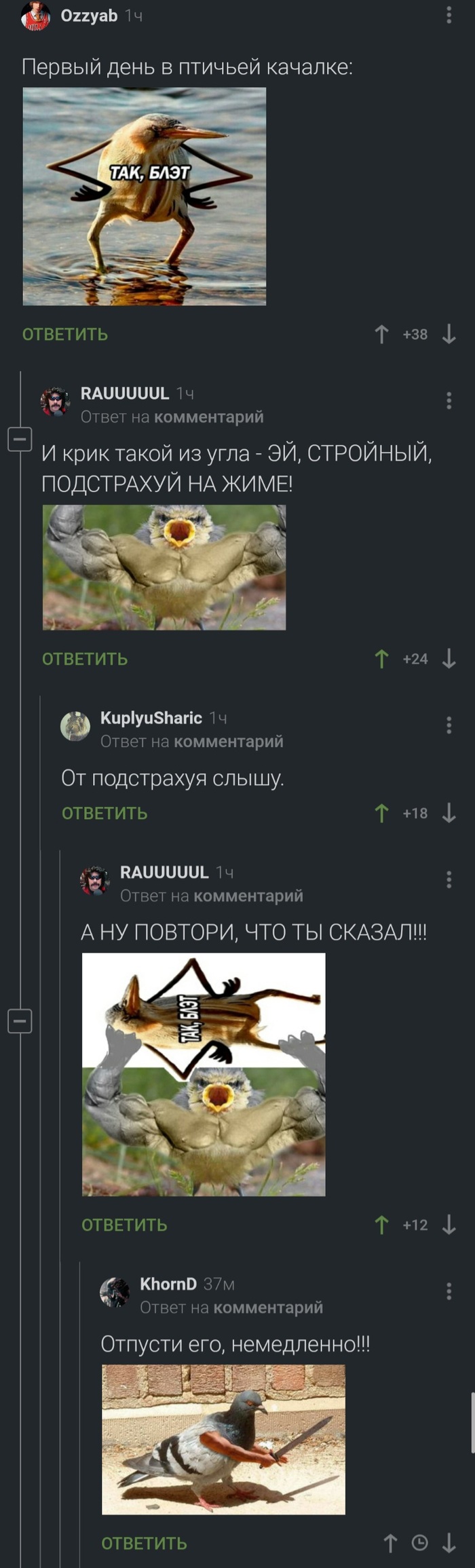 Птичьи качалки они такие