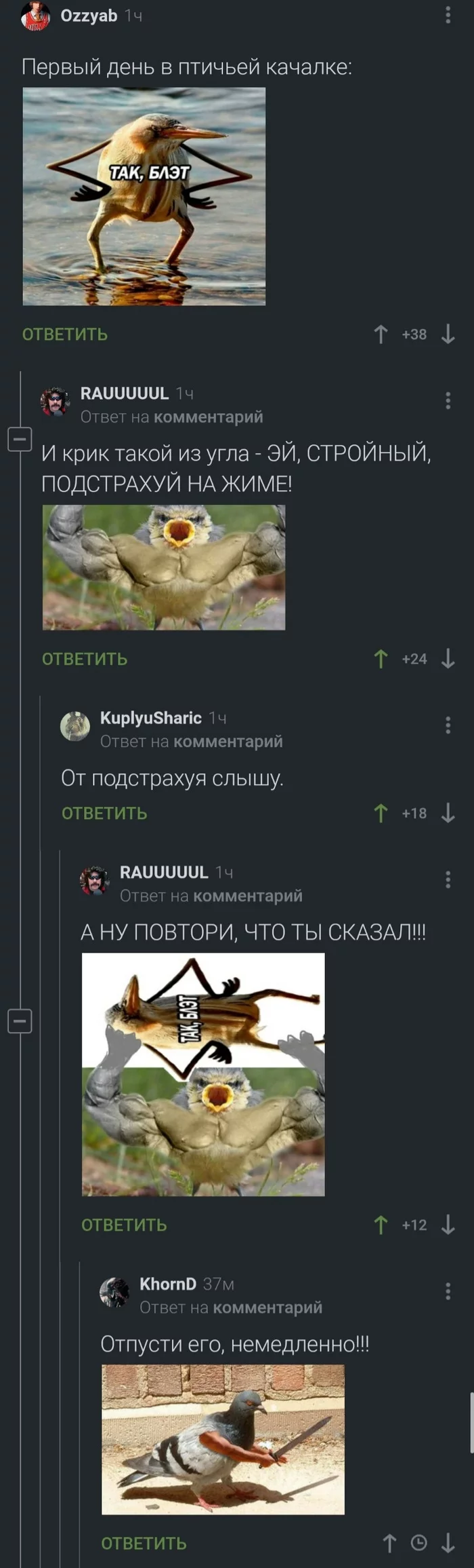 Птичьи качалки они такие - Скриншот, Комментарии на Пикабу, Длиннопост