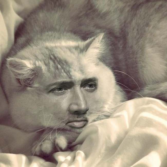 Nicolas Cage - My, Author's story, Nicolas Cage, Pets, cat, Girls, Pet, Guests, Demon, Longpost