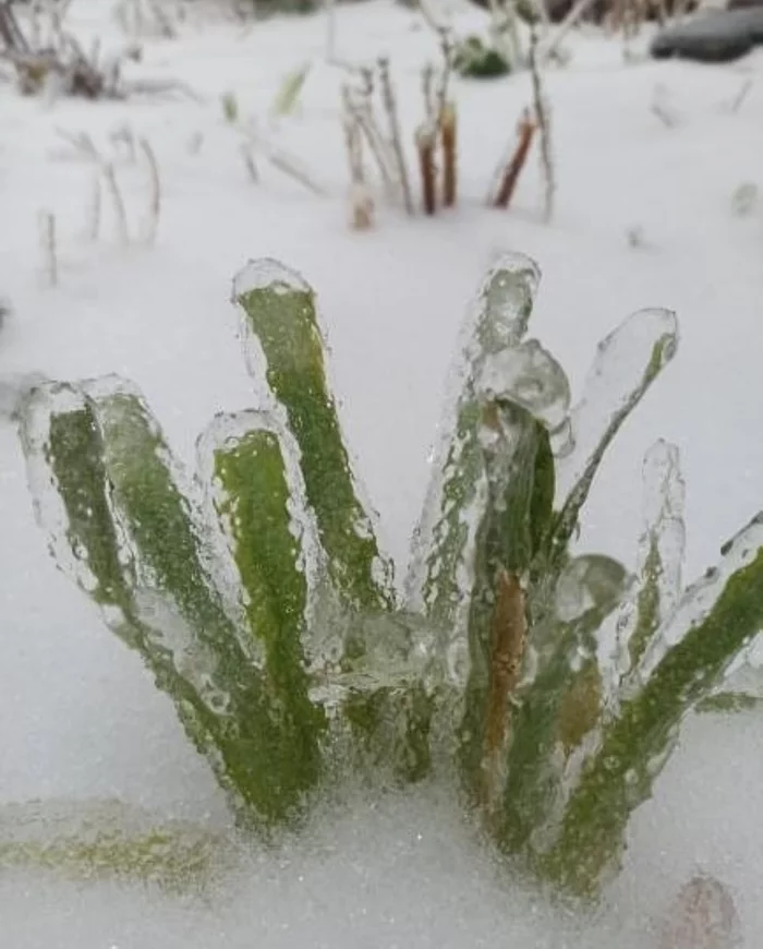 glacial period - My, Winter, Vladivostok, Ice, ice Age, Video, Longpost