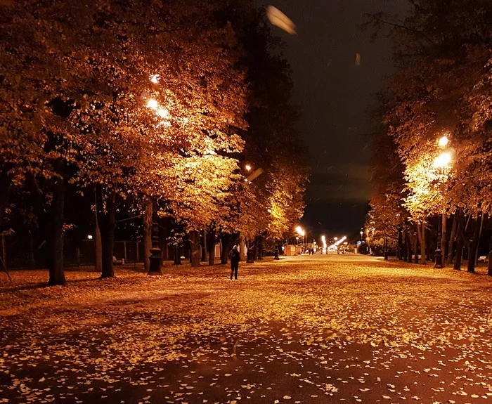 Осенний Петербург - Моё, Осень, Листья, Санкт-Петербург