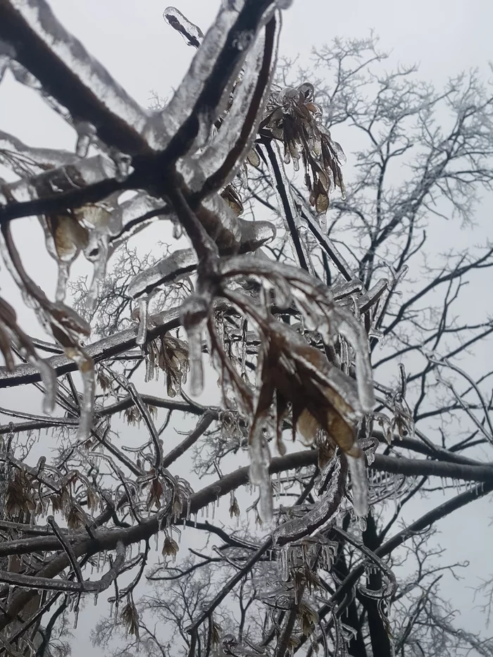 Vladivostok in ice - My, Vladivostok, First snow, Longpost, Thaw