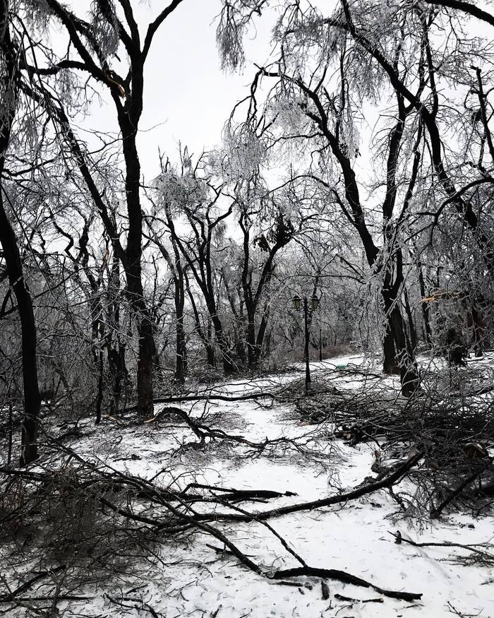 ������ �� ��������������