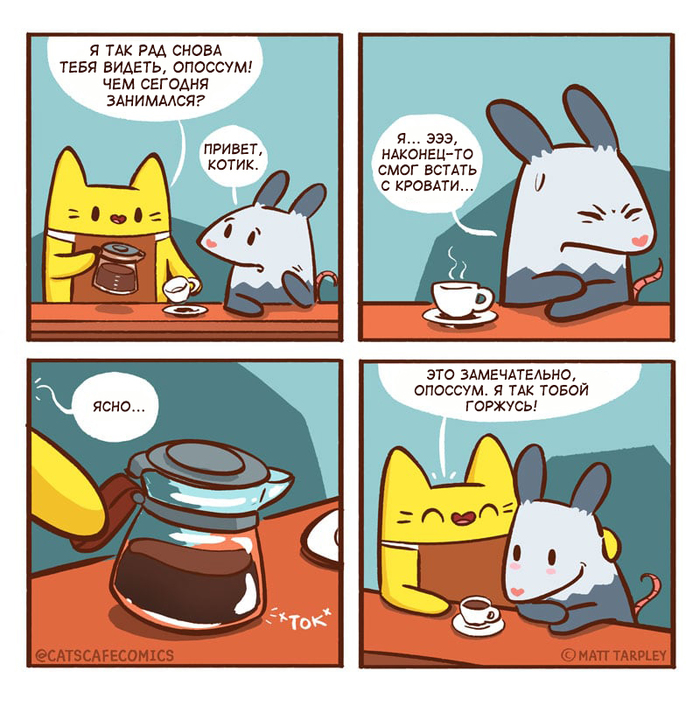    , ,  , Cats Cafe, Matt Tarpley