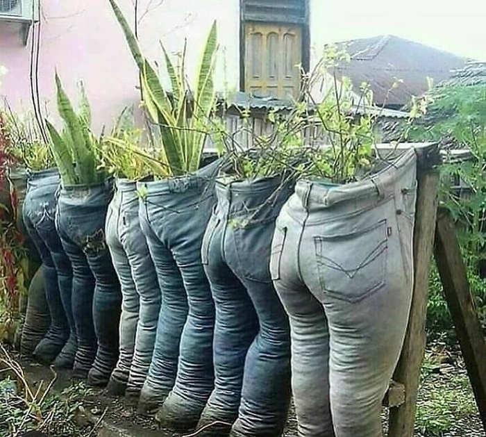 ���� ������, �� � ���� ����������