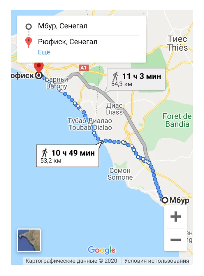 У более 300 человек в Сенегале диагностирована неизвестная болезнь Эпидемия, Сенегал, Африка, Медицина, The National Geographic, 2020, Видео, Длиннопост, Болезнь У более 300 человек в Сенегале диагностирована неизвестная болезнь Эпидемия, Сенегал, Африка, Медицина, The National Geographic, 2020, Видео, Длиннопост, Болезнь