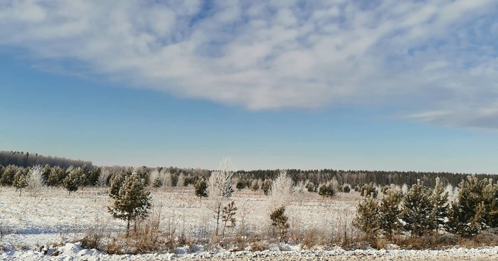 Стоит ли плакать по необработанной пашне в России?