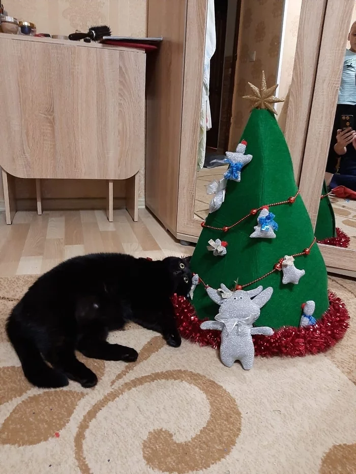 Marusya part two “New Year’s mood” ^^ - My, cat, Black cat