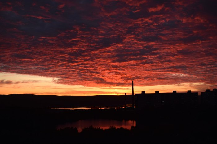 ���� - ���� ��� ����� �� ����� ����