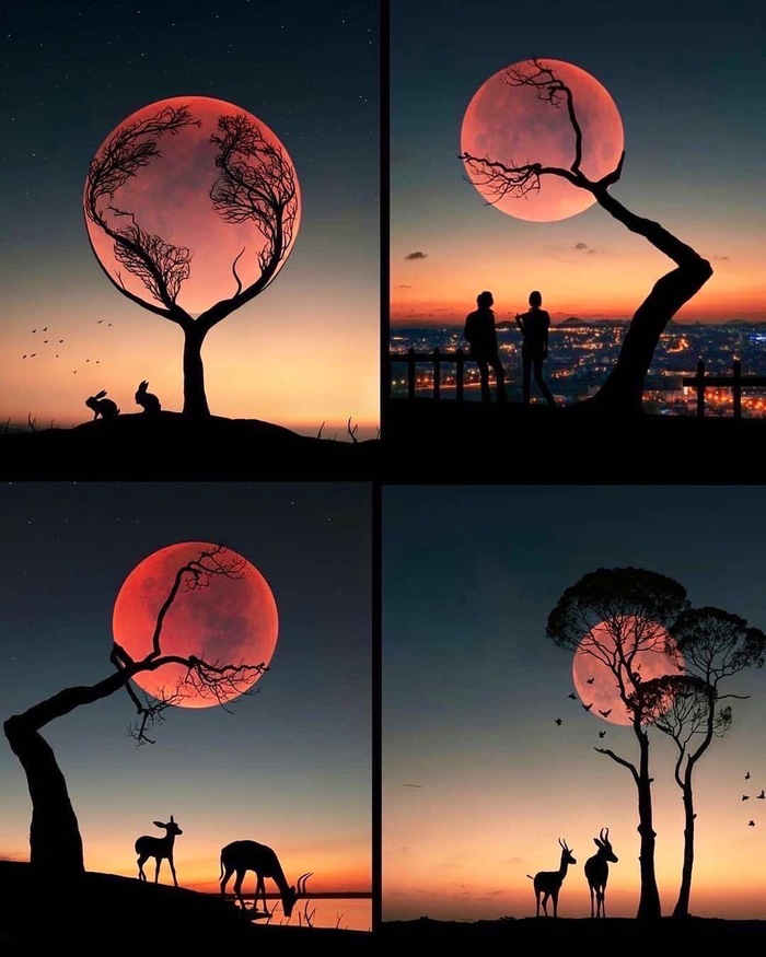 ������� � �����