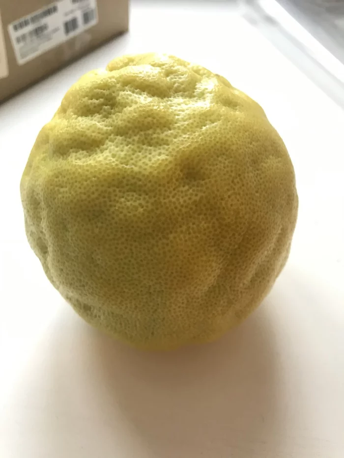 Mom's Lemons - My, Lemon, Harvest, Longpost