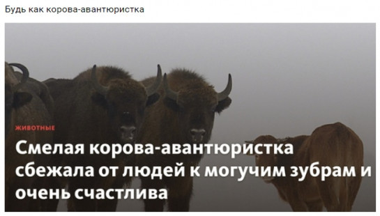 Авантюристка