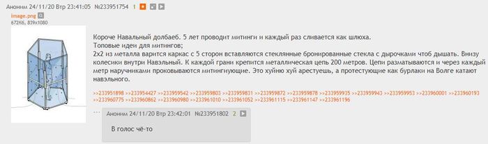 /b/ level protests - Dvach, Alexey Navalny, Rally, Strange humor, Screenshot