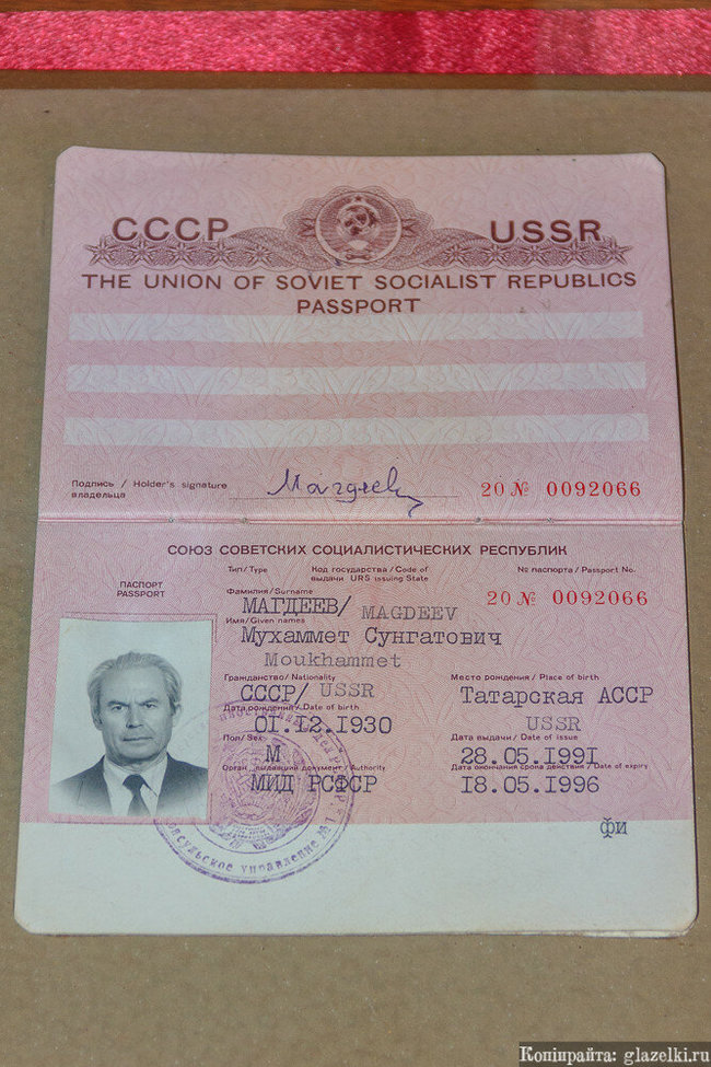 Segamegadrive and Soviet foreign passport - My, Perfect crime, Sega mega drive, Mat, Longpost