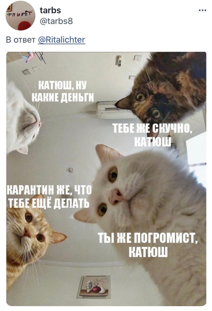 Кот в очках на машине. Смотреть фото Кот в очках на машине. Смотреть картинку Кот в очках на машине. Картинка про Кот в очках на машине. Фото Кот в очках на машине