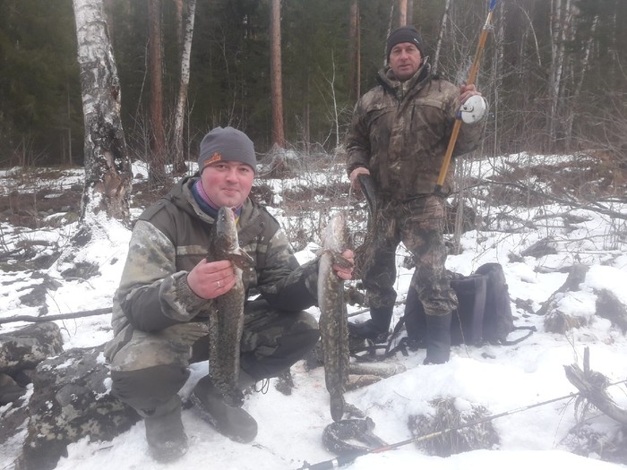 Налим на стук! Рыбалка, Налим, Зимняя рыбалка, Видео, Длиннопост