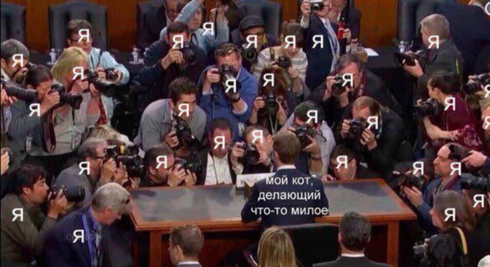 Дамашние папарацци