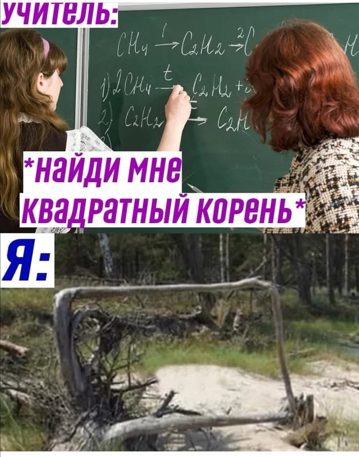 Прямоугольный - Математика, Природа