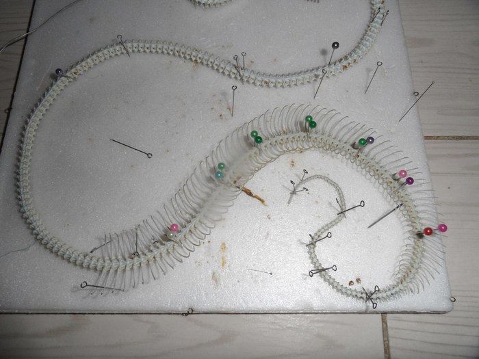 le serpent d ocean история