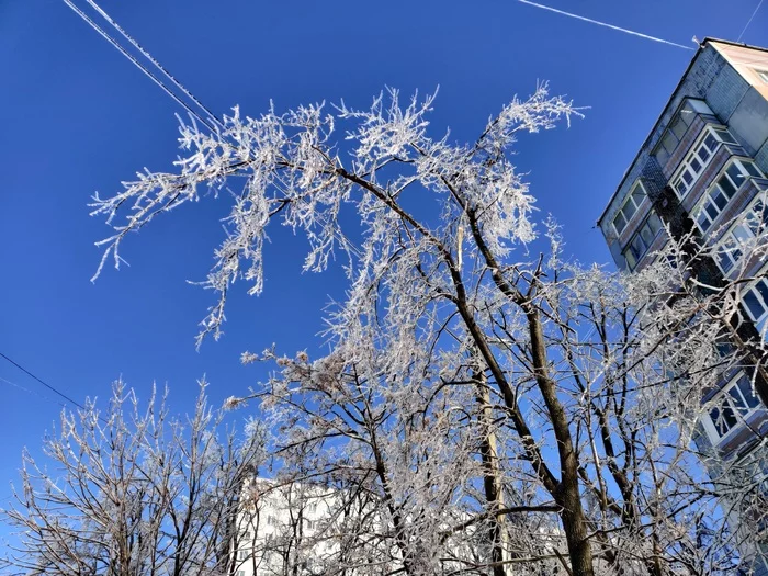 Vladivostok. Freezing rain. November 2020 - My, Vladivostok, Nature, Freezing rain, Video, Longpost