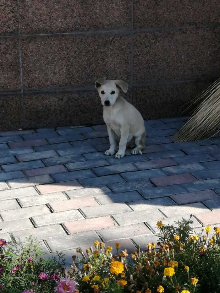 � ������� �� ����� - �������� �����, ����� ���!