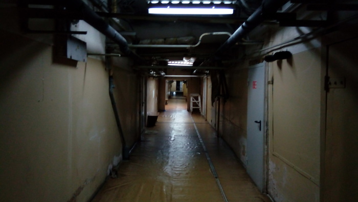 ������ ��������