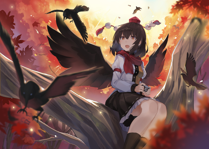 Shameimaru Aya Touhou, Shameimaru Aya, Anime Art, , Rin falcon