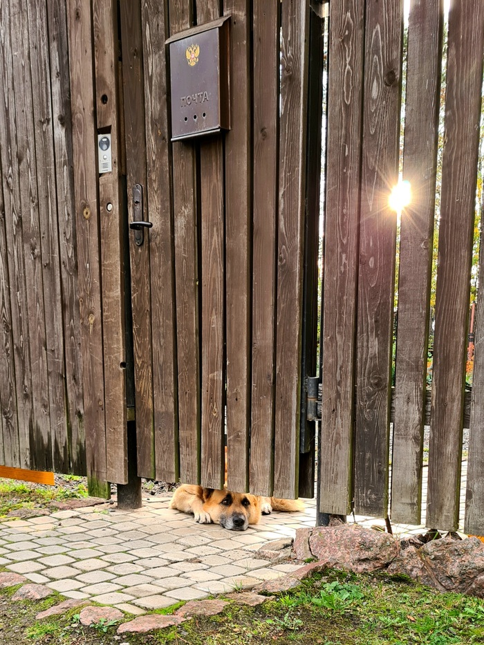 �������� �������� ���� �� �������