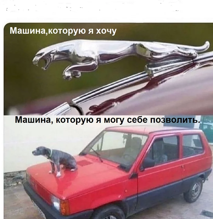 Almost no difference :) - Humor, Picture with text, Car, Dog, Jaguar