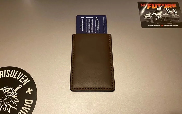 Shielded leather case for pass (experiment) - My, Leather products, Folk art, Longpost