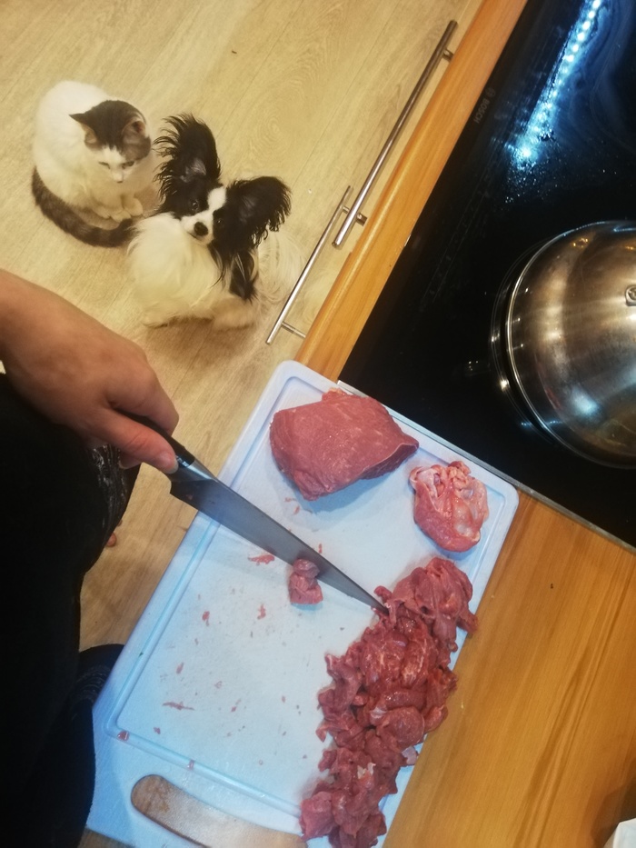 Главное — не смотреть им в глаза