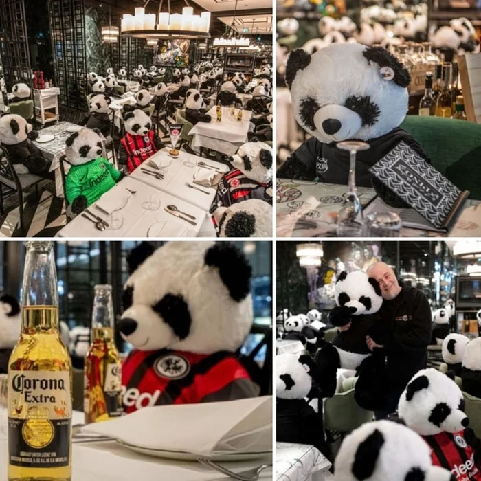Let the passers-by cheer up - Panda, A restaurant, Germany, Installation, Corona Extra Beer