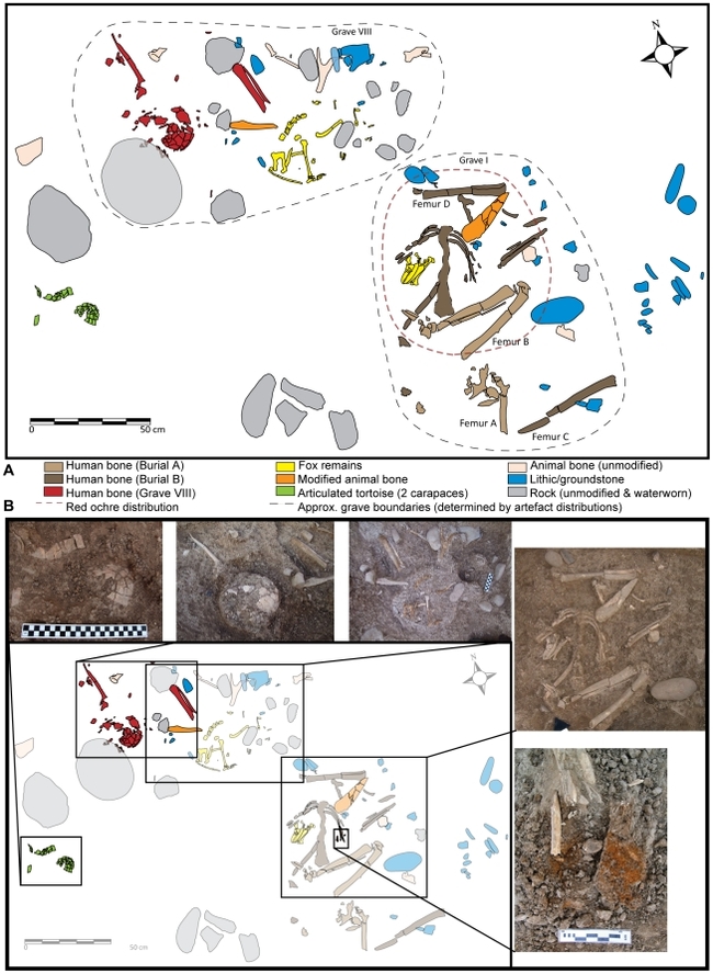 Tale from the Jordan Crypt - Fox, Archeology, Jordan, Longpost