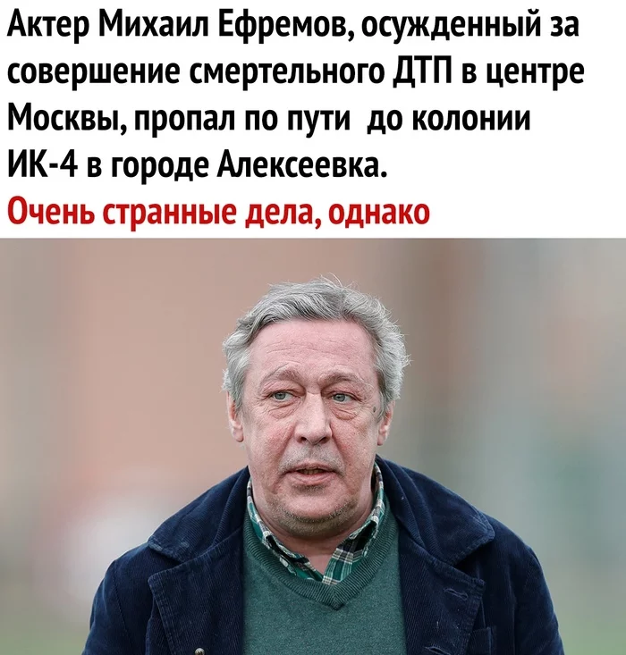 I went to the promotion, jumped out of the courtroom with a sucker, went into the forest to eat his meat ... - Mikhail Efremov, news, Picture with text