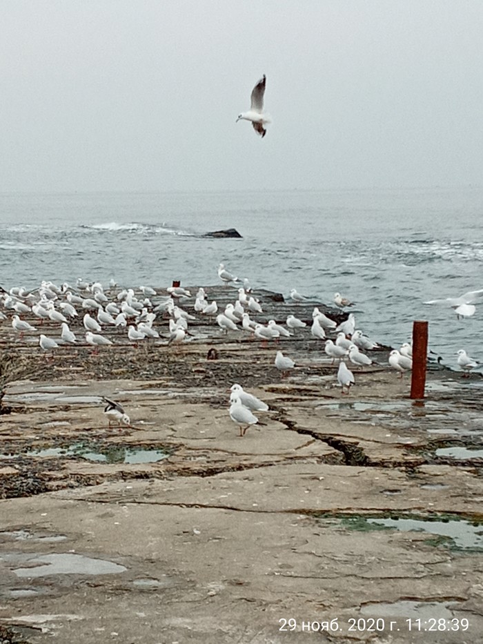 ���������� ����