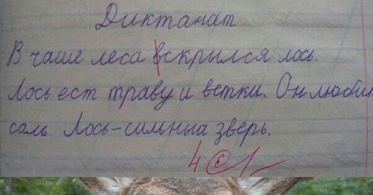 Сильный зверь! | Пикабу