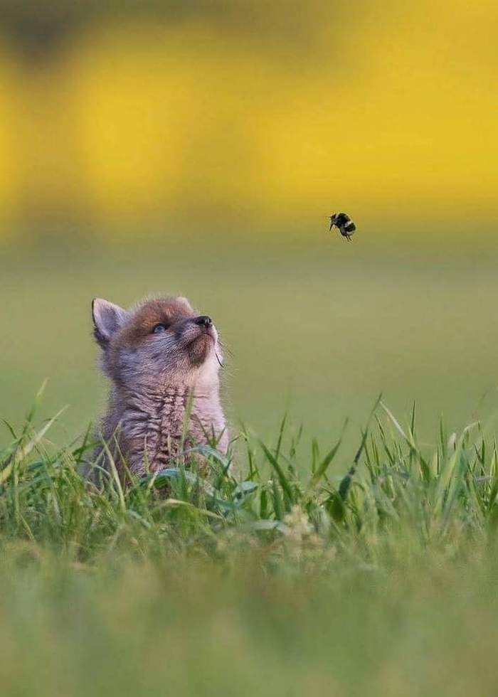 Эх, молодежжжжь...