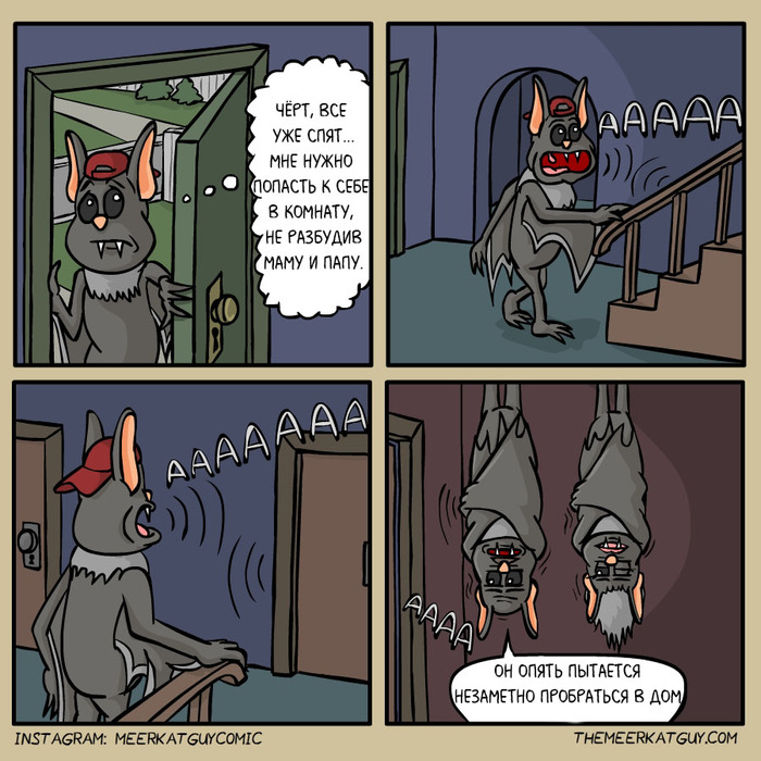  Themeerkatguy, ,  , 