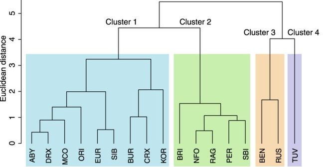 Breed differences in behavioral traits of cats - cat, Description, The photo, Breed, The science, Statistics, Longpost, Cat breeds