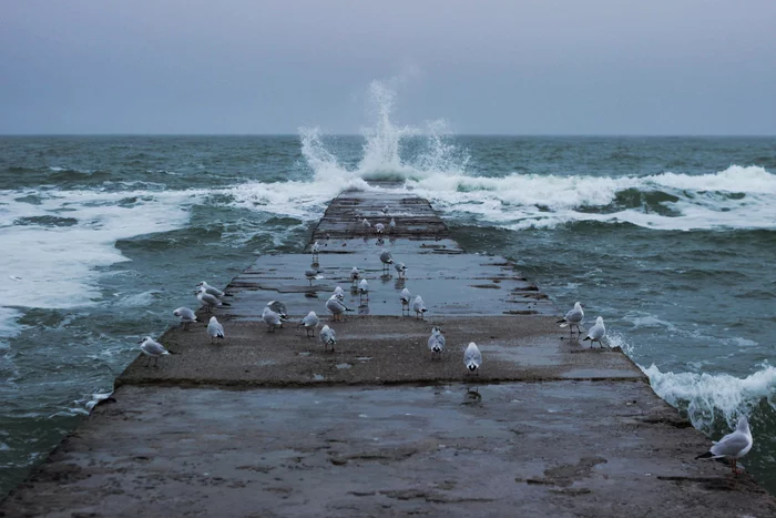 Просто море люблю - Моё, Море, Фотография, Чайки, Длиннопост