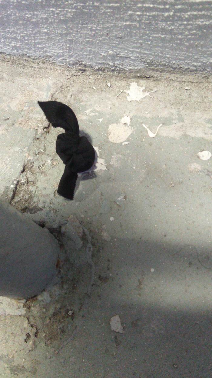 Монетки, завязанные в черную ткань возле банка