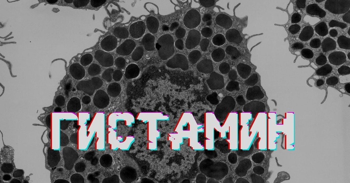 Гистамин препарат. Гистамины отзывы. Гистамины отзывы. Гистамины отзывы. Гистамины отзывы.