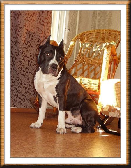   (  ),  &quot;   ,     )