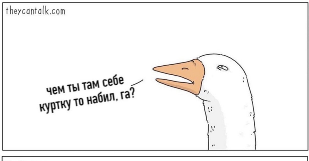 Мемы про гусей