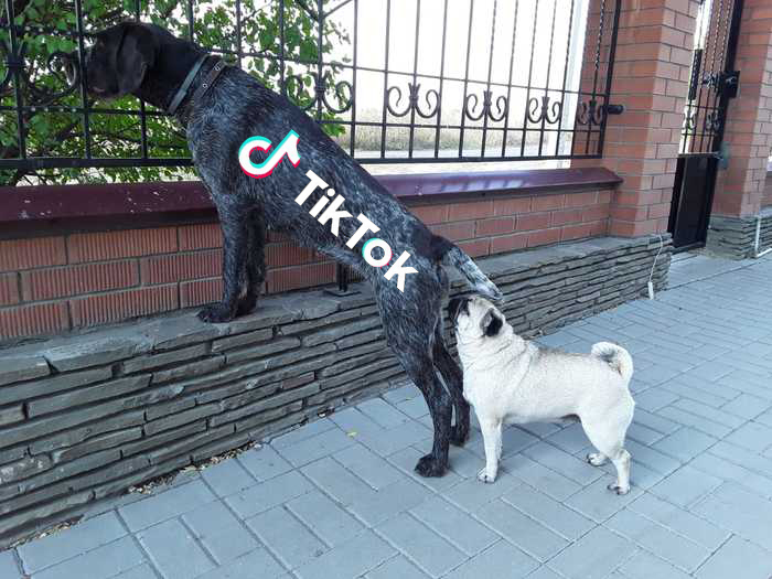 ��� 30 � � ��� ���� ������������� �������